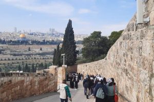 2026.01.23Pelerinaj03 2026.01.23Pelerinaj03