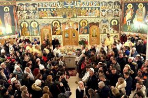 2026.10.24Viena11 2026.10.24Viena11