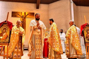 2026 02 14-linz01 2026 02 14-linz01