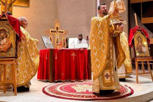 2026 02 14-linz02 2026 02 14-linz02