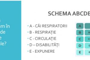 2026 02 14-linz06 2026 02 14-linz06